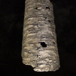 Brazalete Abedul, plata 925 envejecida. Diseñado y fabricado artesanalmente por el estudio-talle de malicia. Pieza única. Objeto fabricado por personas que disfrutan su trabajo.