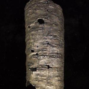 Brazalete Abedul, de plata 925 envejecida. Diseñado y fabricado artesanalmente por el estudio-talle de malicia. Pieza única.